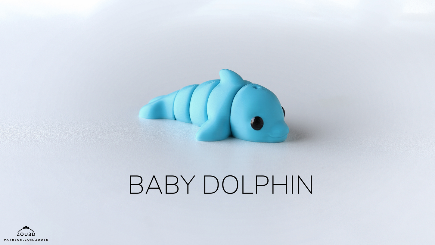 Baby Dolphin