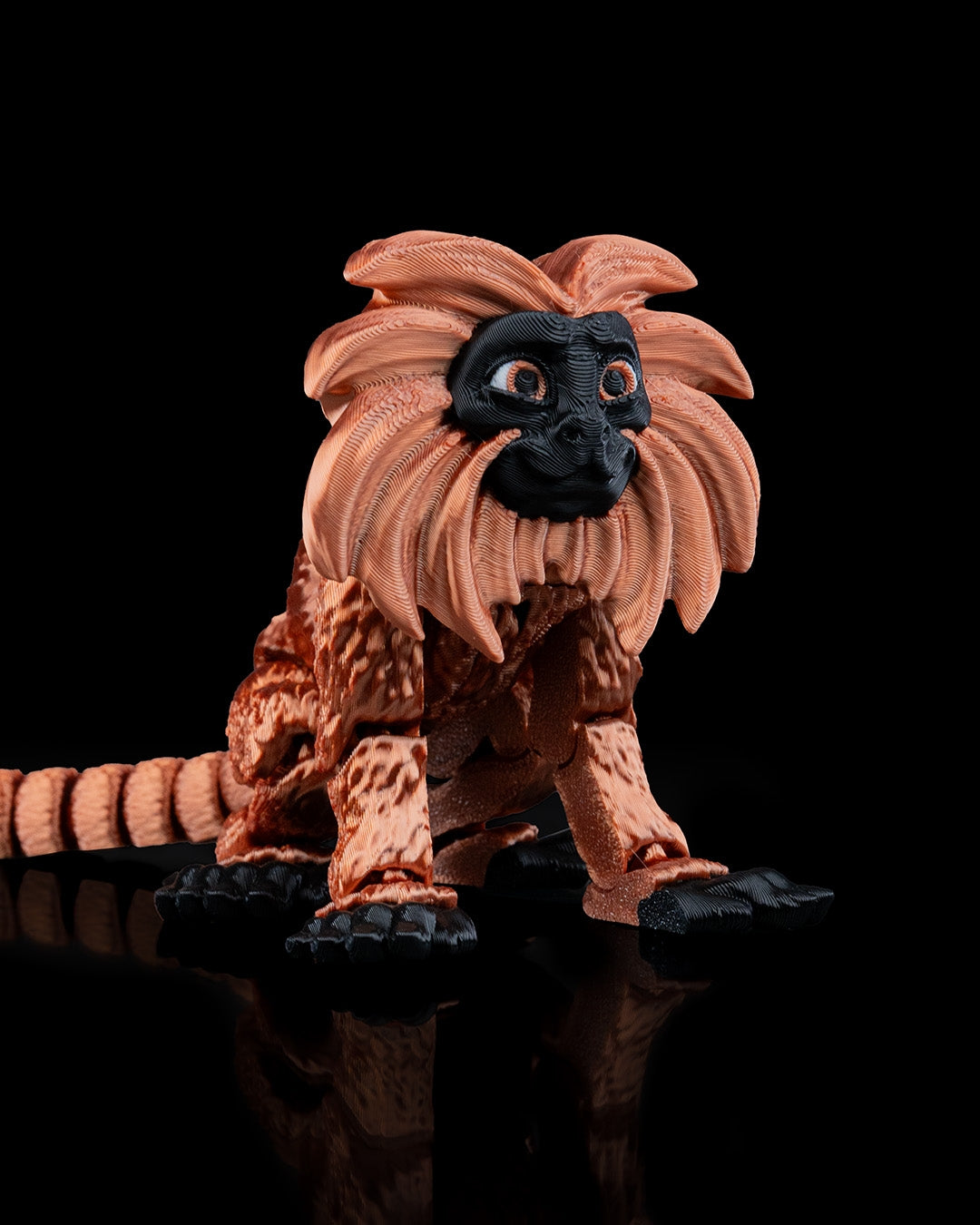 Copper Lion Tamarin
