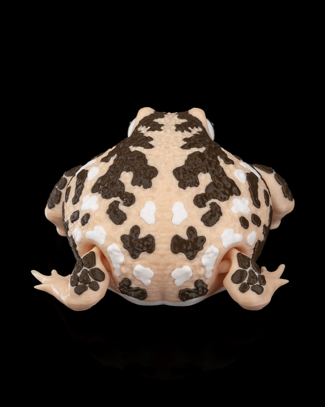 Humphrey The Rain Frog