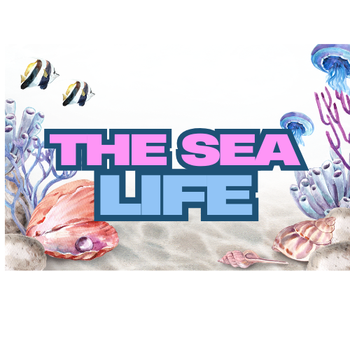 The Sea Life