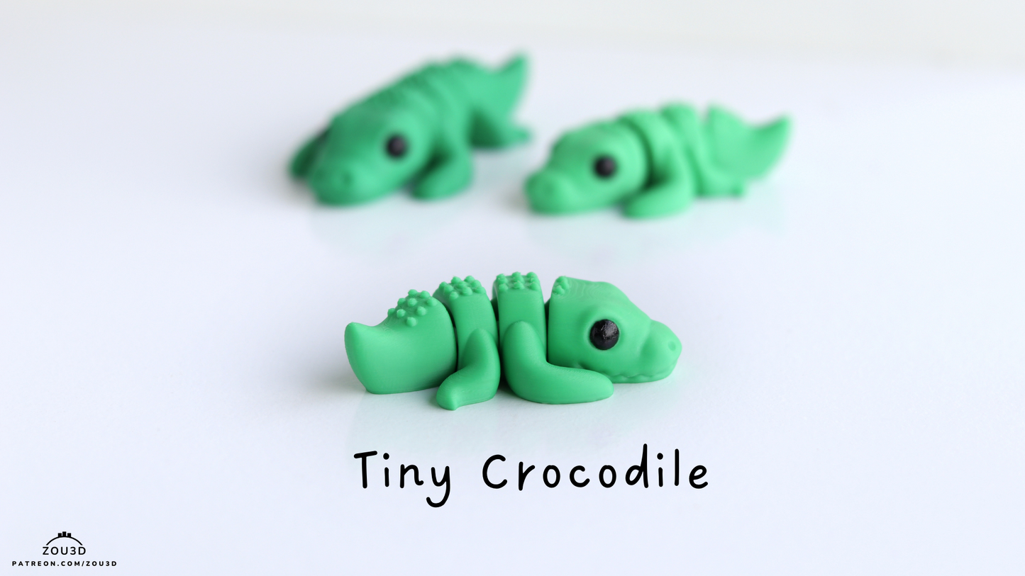 Tiny Crocodile