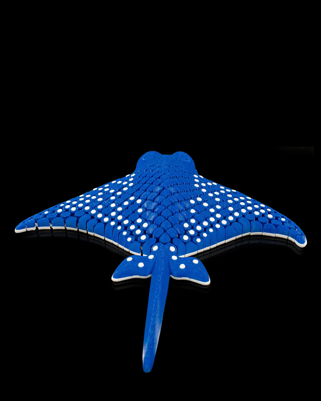 Igor The Spotted Eagle Ray