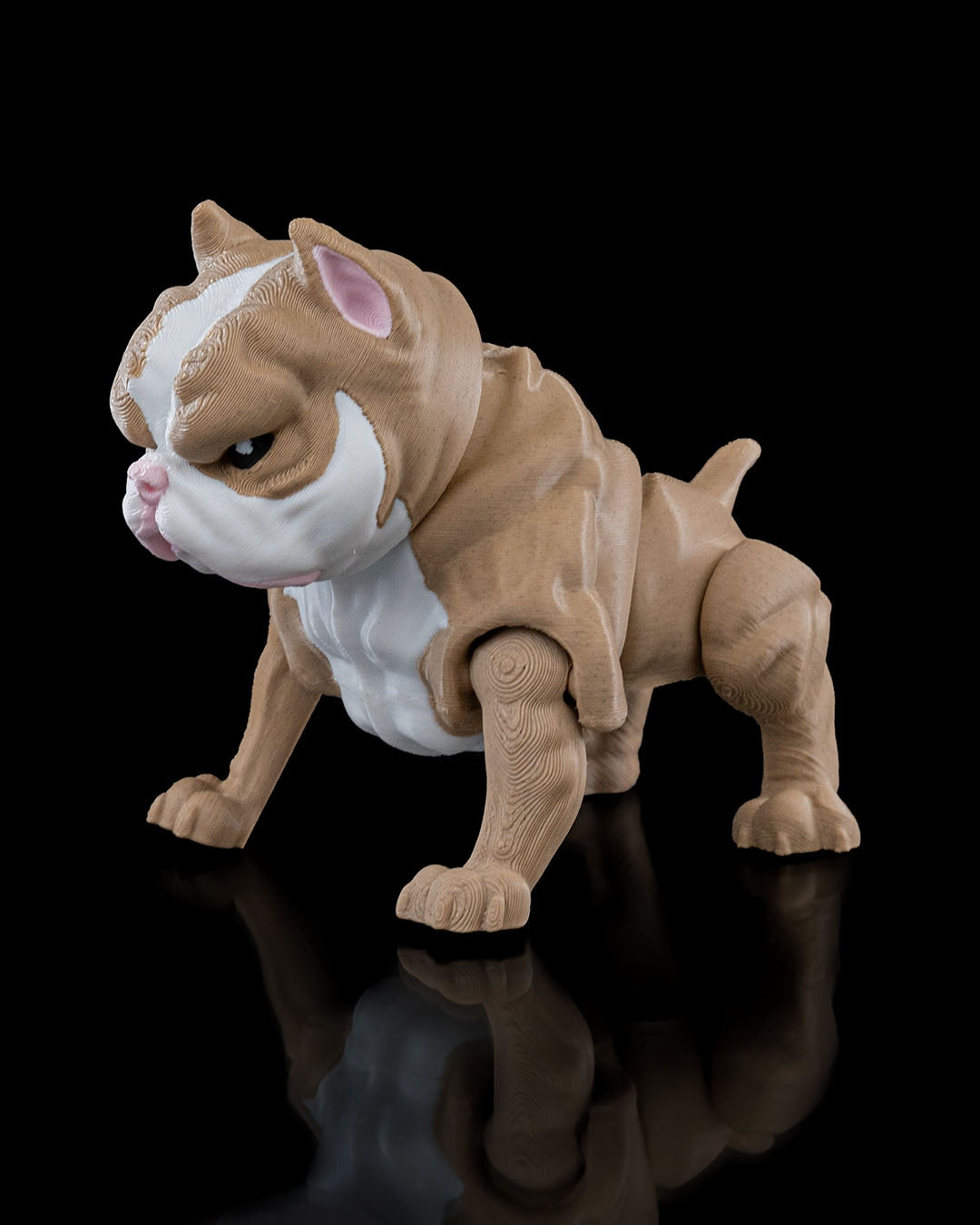 American Bully