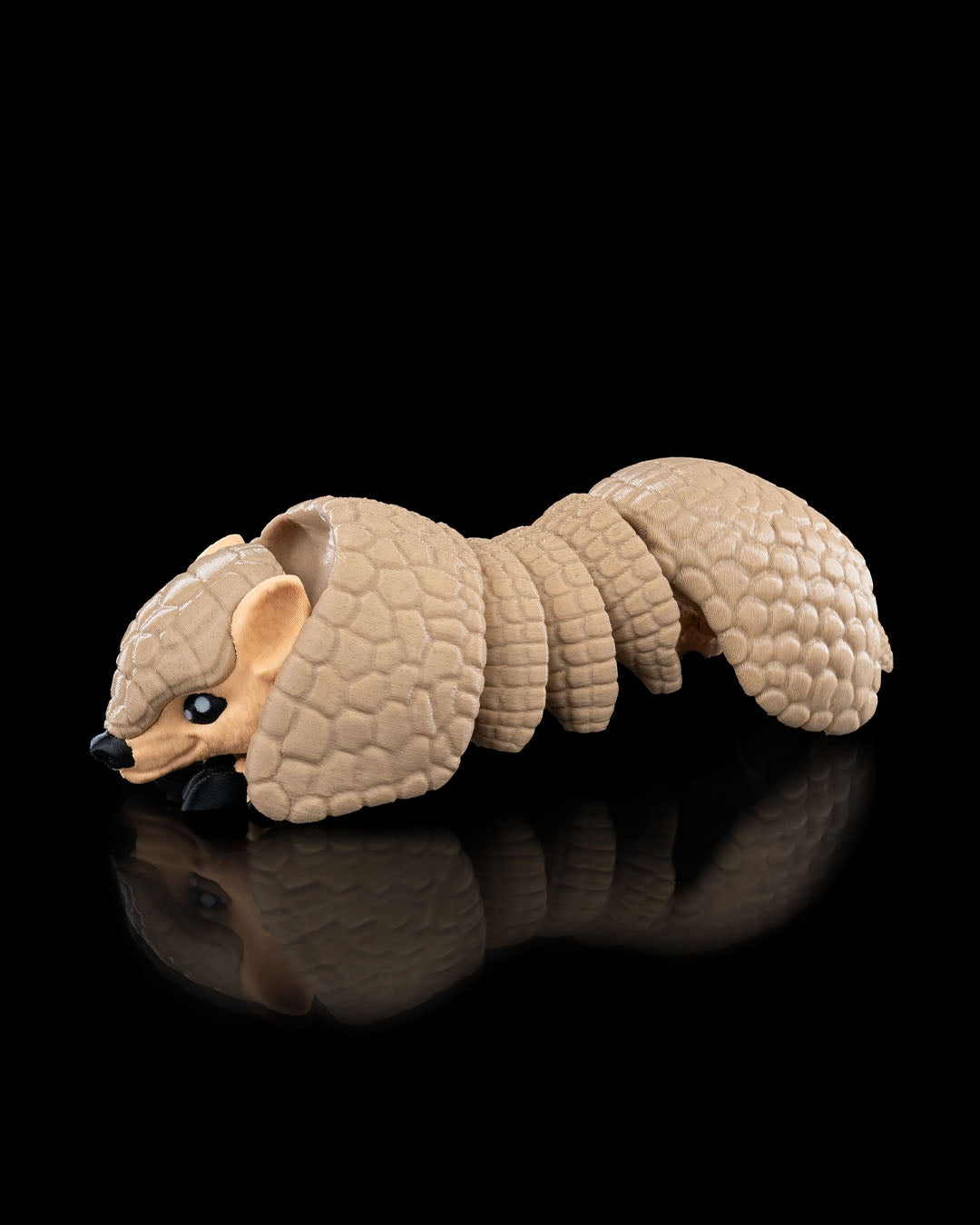 Rolling Armadillo