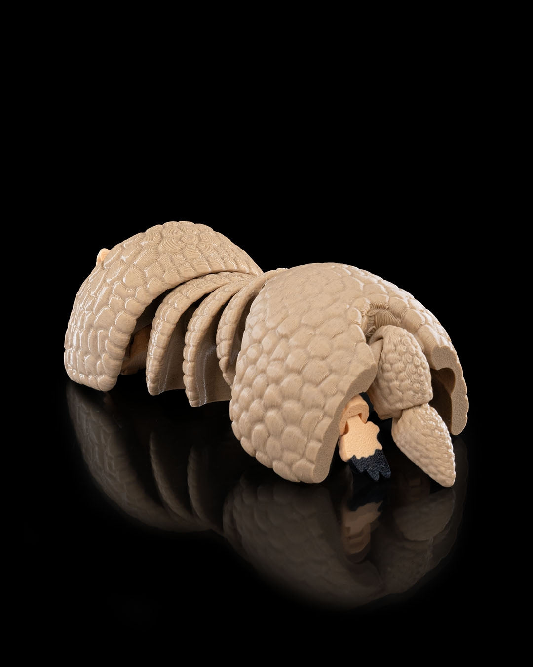 Rolling Armadillo
