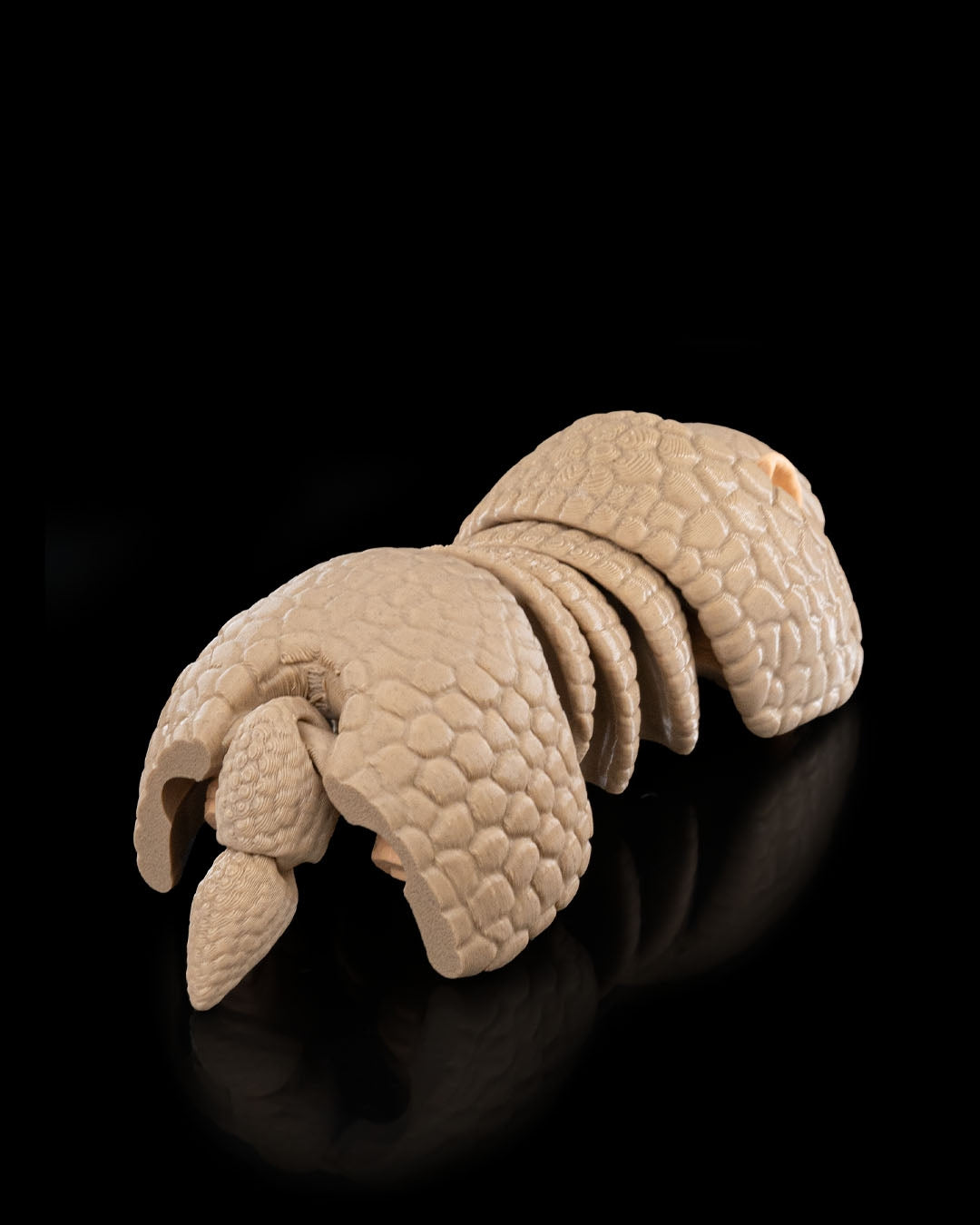 Rolling Armadillo