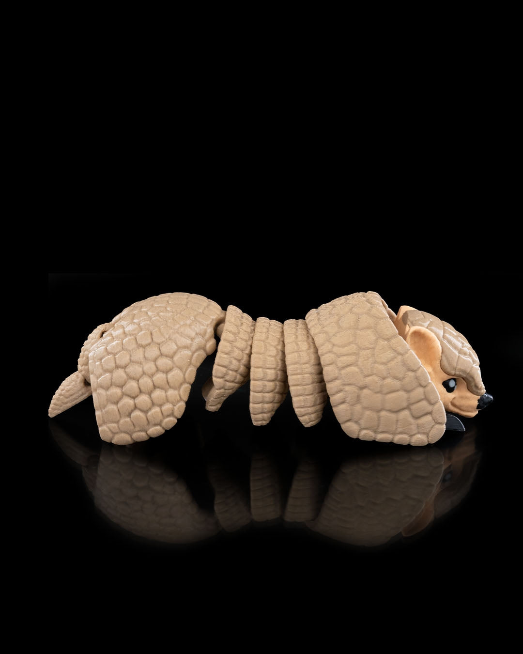 Rolling Armadillo