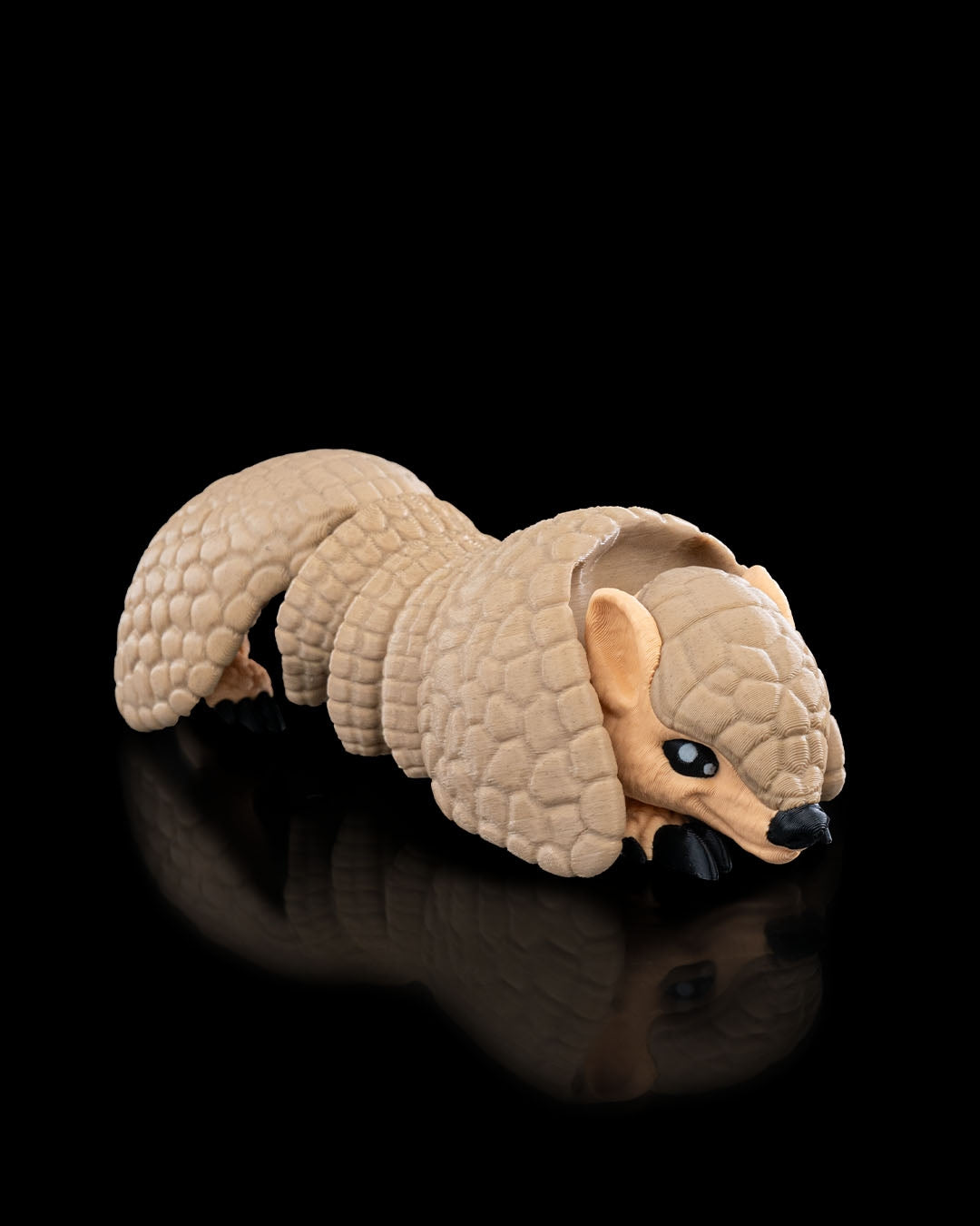 Rolling Armadillo
