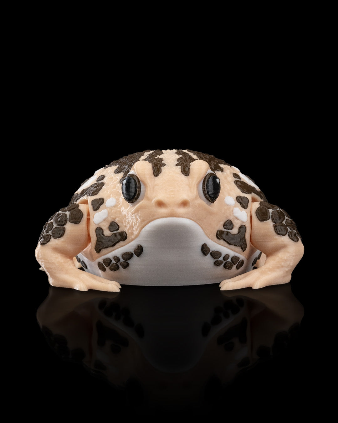 Humphrey The Rain Frog